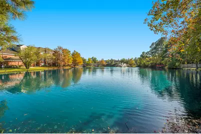 158 N Magnolia Pond Place #158E, The Woodlands, TX 77381 - Photo 21