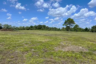 0000 County Road 203, Liverpool, TX 77577 - Photo 3