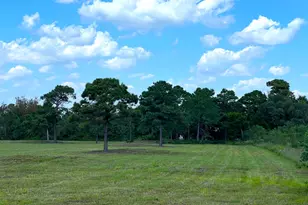 0000 County Road 203, Liverpool, TX 77577 - Photo 7