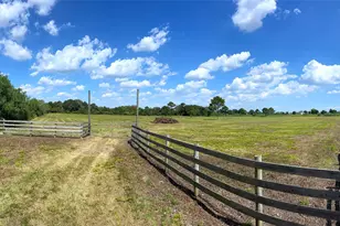 0000 County Road 203, Liverpool, TX 77577 - Photo 9