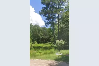 19137 Rye Court, New Caney, TX 77357 - Photo 5