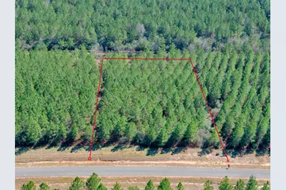 12642 Oak Barrel Road, Willis, TX 77378 - Photo 5