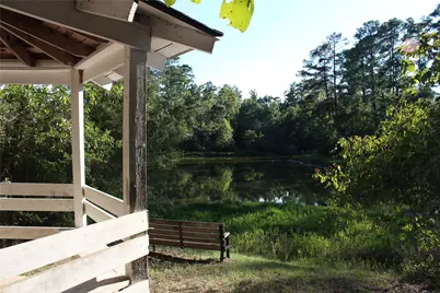 000 Evergreen Lane, Montgomery, TX 77356 - Photo 7