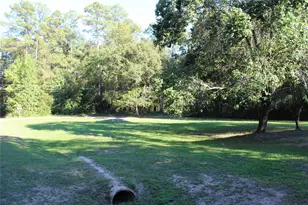 000 Evergreen Ln, Montgomery, TX 77356 - Photo 3