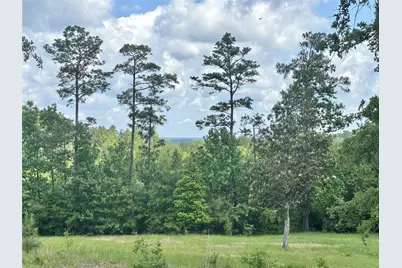 4647 Recreational Road 255, Colmesneil, TX 75938 - Photo 47