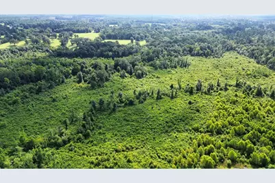 1900 E E Hwy 190, Newton, TX 75966 - Photo 11