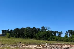 40757 Mostyn Lake, Magnolia, TX 77354 - Photo 3