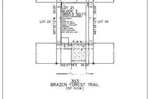 303 Brazen Frst Trl, Magnolia, TX 77354 - Photo 21