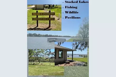 912 Wagon Wheel Trail, Angleton, TX 77515 - Photo 7