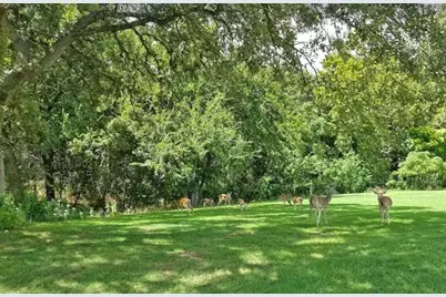 8129 Clearwater Cv Cove, Leander, TX 78645 - Photo 5
