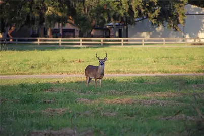 113 Pony Trail, Angleton, TX 77515 - Photo 7