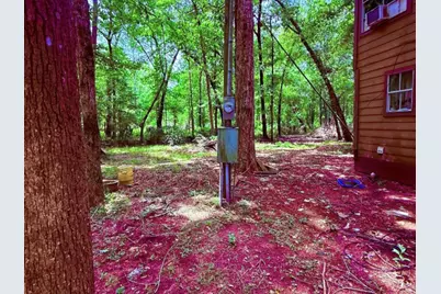 341 Pine Valley Drive, Shepherd, TX 77371 - Photo 7