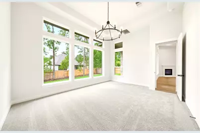 334 Calmato Woods Way, Willis, TX 77318 - Photo 23
