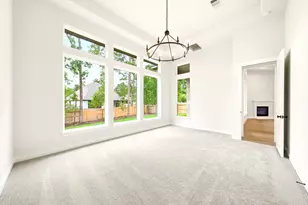 334 Calmato Woods Way, Willis, TX 77318 - Photo 23