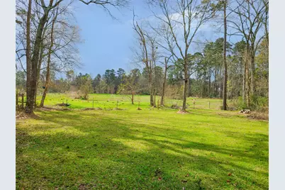 15896 Tree Monkey Road, Conroe, TX 77303 - Photo 23