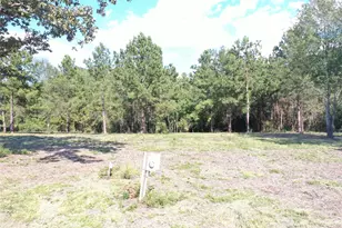 Tbd S Fm 356 W, Onalaska, TX 77360 - Photo 17