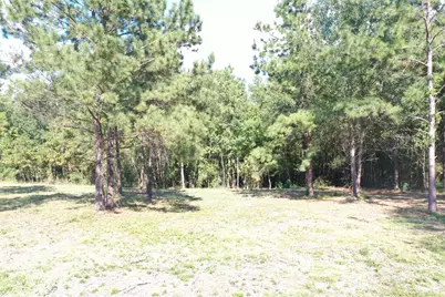 Tbd S Fm 356 W, Onalaska, TX 77360 - Photo 21