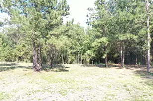 Tbd S Fm 356 W, Onalaska, TX 77360 - Photo 21