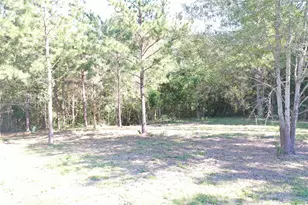 Tbd S Fm 356 W, Onalaska, TX 77360 - Photo 23