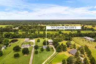 141 County Rd 2209 S, Cleveland, TX 77327 - Photo 33