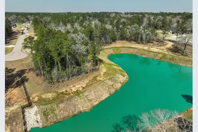 26601 Buchanan Court, Magnolia, TX 77355 - Photo 9