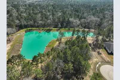 26601 Buchanan Court, Magnolia, TX 77355 - Photo 5