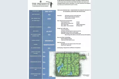 26601 Buchanan Court, Magnolia, TX 77355 - Photo 11