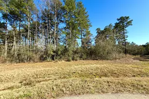 26601 Buchanan Ct, Magnolia, TX 77355 - Photo 1