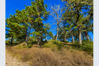 Tr 112 Pr 1313, Centerville, TX 75833 - Photo 3