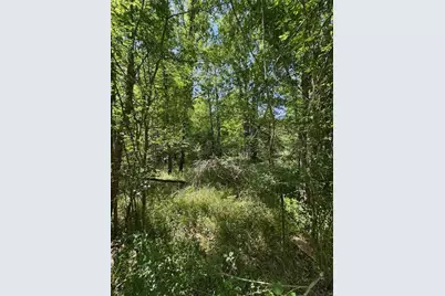 114 Brazil Boulevard, Huntsville, TX 77320 - Photo 5