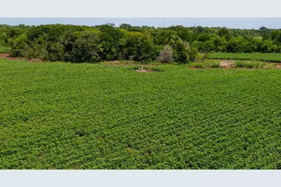 000 Sims Lane Lane, Bryan, TX 77801 - Photo 9