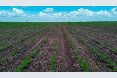 000 Sims Lane Lane, Bryan, TX 77801 - Photo 23