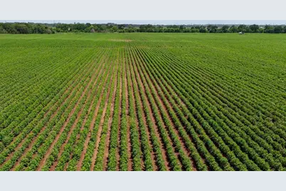000 Sims Lane Lane, Bryan, TX 77801 - Photo 19