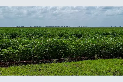 000 Sims Lane Lane, Bryan, TX 77801 - Photo 13