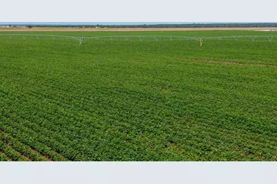 000 Sims Lane Lane, Bryan, TX 77801 - Photo 27