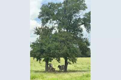 11581 County Road 419, Navasota, TX 77868 - Photo 43