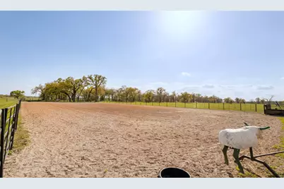 11581 County Road 419, Navasota, TX 77868 - Photo 31