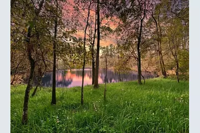 Lot 175 County Road 3017C, Dayton, TX 77535 - Photo 3