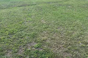 632 Sharon St, Prairie View, TX 77484 - Photo 15