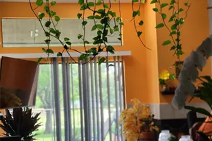 8267 Sands Point Dr, Houston, TX 77036 - Photo 7