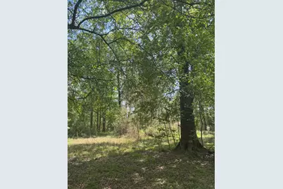 668 County Road 647, Dayton, TX 77535 - Photo 1