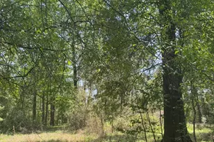 668 County Rd 647, Dayton, TX 77535 - Photo 1