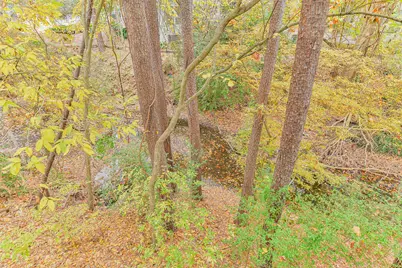 12636 Briar Patch Road, Houston, TX 77077 - Photo 43