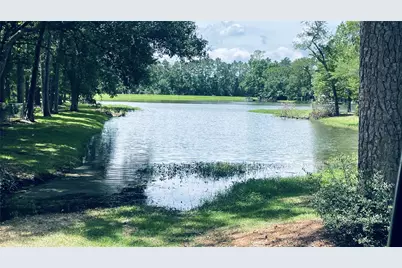 9848 Pine Point Dr, Montgomery, TX 77316 - Photo 5