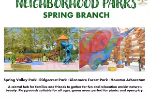 8033 Ridgeview Dr, Houston, TX 77055 - Photo 29