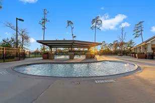 31870 Forest Park Trail, Conroe, TX 77385 - Photo 19