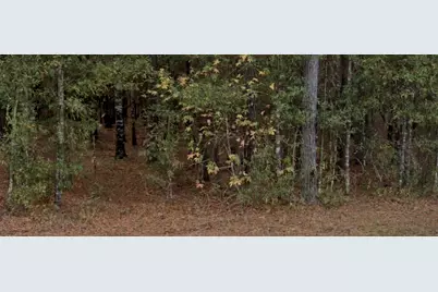 0 San Pedro, Livingston, TX 77351 - Photo 5