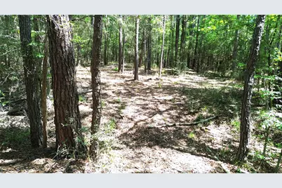 Tbd Cr 4720, Kennard, TX 75847 - Photo 19