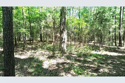 Tbd Cr 4720, Kennard, TX 75847 - Photo 15