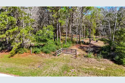 21223 Peach Wood, Cleveland, TX 77328 - Photo 3